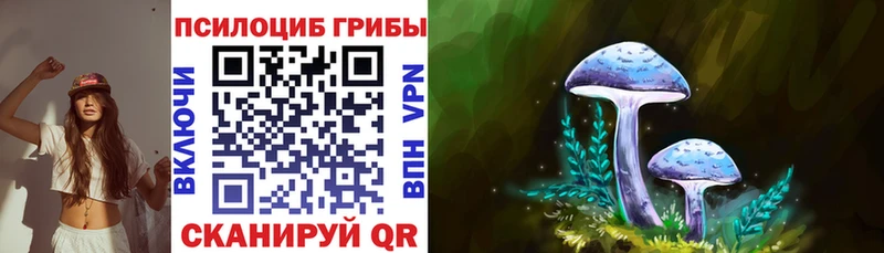 Галлюциногенные грибы Cubensis  Купить  Медвежьегорск 